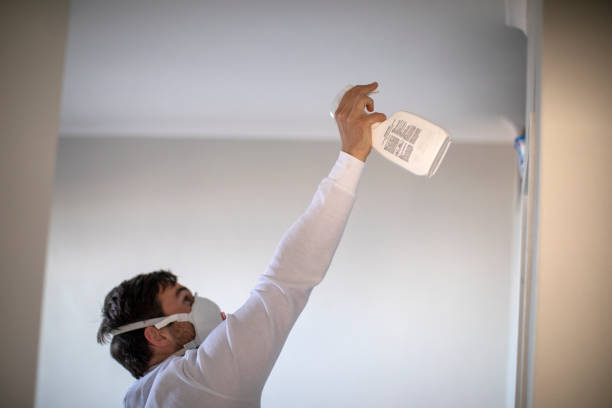 Best Same-Day Mold Removal  in Erda, UT