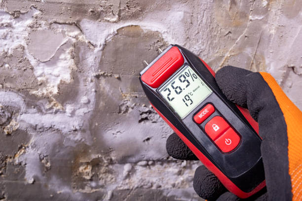 Best Fast Mold Removal  in Erda, UT