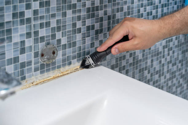 Best Toxic Mold Removal  in Erda, UT