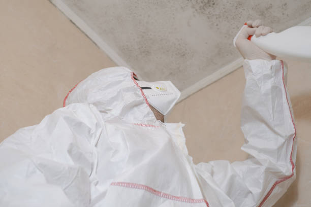 Best Mold Remediation Experts  in Erda, UT