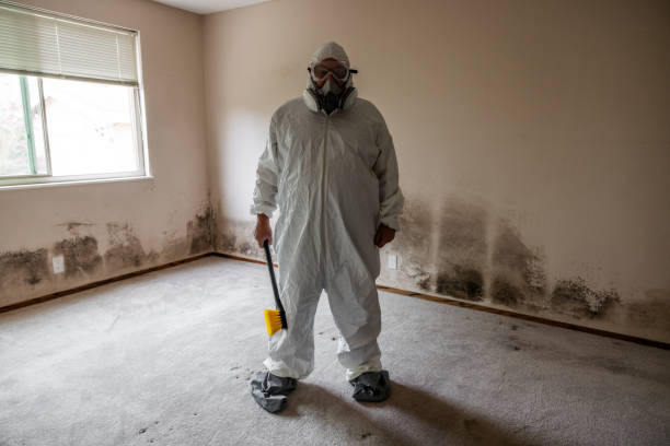 Best Mold Remediation  in Erda, UT